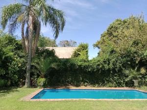 una piscina in un cortile con una palma di A estrenar, en San Isidro. a Beccar