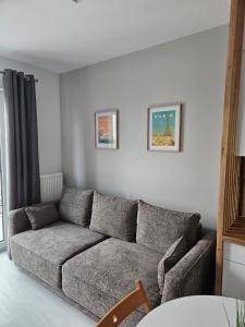 una sala de estar con un sofá gris en una habitación en Apartament - Osiedle Przylesie, en Namysłów