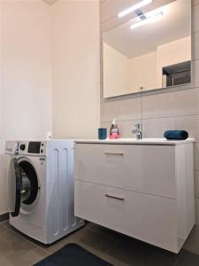 聖路易的住宿－Le city F2 centre-ville，白色的厨房配有洗衣机和水槽