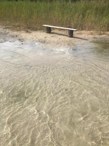 a bench sitting on the beach next to the water at Willa na Mazurach Ametyst in Szczytno