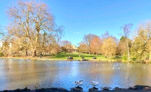 a group of birds swimming in a lake in a park at La Casa Rossa with free parking in Cheltenham