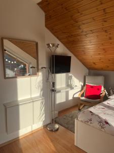 Postel nebo postele na pokoji v ubytování Podkrovní apartmán s balkónem