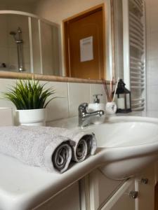 Koupelna v ubytování Podkrovní apartmán s balkónem