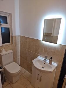 a bathroom with a toilet and a sink and a mirror at Dublin's Fair City Apartment in Dublin