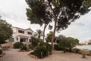 uma casa branca com uma árvore e um corpo de água em Luxury Villa in Alicante em Alicante