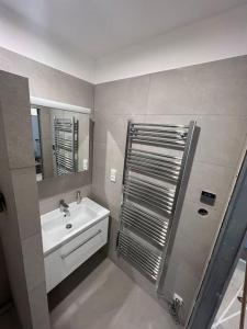 uma casa de banho com um lavatório e um chuveiro em Apartmán Praha Žižkov - DZ RENT em Praga