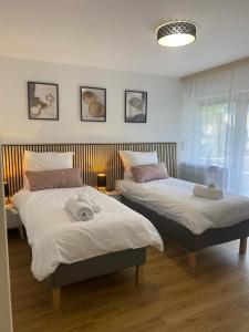 une chambre avec deux lits et une fenêtre dans l'établissement Appartement Au Rhin mit Balkon in Bad Bellingen, à Bad Bellingen