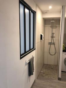 Un baño con ducha y ventana. en Rez de jardin Cosy entre Disney et Paris, en Lagny