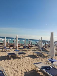 - un groupe de chaises longues et de parasols sur une plage dans l'établissement Villa Marisa Holiday Home, à Punta Prosciutto