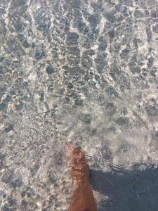 Gallery image of Villa Marisa Holiday Home in Punta Prosciutto