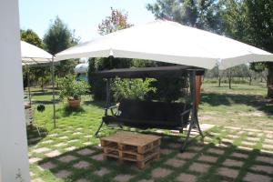 Zahrada ubytování Axia Terme B&B, 4 min dal Centro Storico - PARK privato
