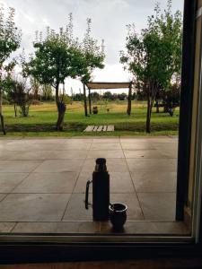 a window view of an outdoor area with a cup at Las Verbenas in San Rafael