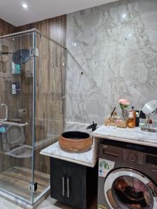 ein Bad mit einer Waschmaschine und einer Dusche in der Unterkunft Comfy-lux Appartment in Alexandria