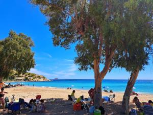 - une plage avec des chaises et un arbre dans l'établissement Lovely Oasis Or Ange - Exclusive, à La Vila Joiosa