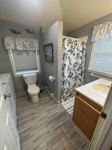a bathroom with a toilet and a sink and a shower at The Tides in Hampton