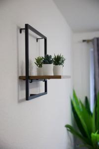 a shelf with three potted plants on a wall at Deluxe 2 bedroom home in London in London
