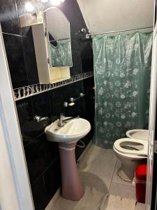 a bathroom with a sink and a toilet and a mirror at Amplio monoambiente in Bella Vista