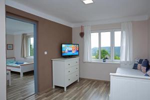 TV a/nebo společenská místnost v ubytování Apartments Michovka