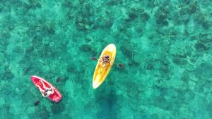 an overhead view of two kayaks in the water at Punta Pescadero Paradise Hotel & Villas in Los Barriles