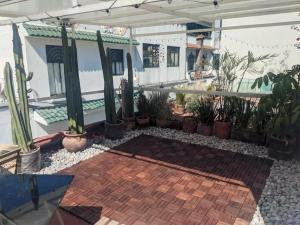 Patio nebo venkovní prostory v ubytování Charming House at Roma + 8 fotografií