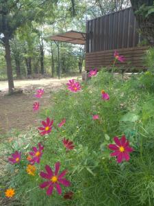 un jardín con flores rosas y un banco de madera en Casa Cosmos, Apart para parejas en Las Rabonas
