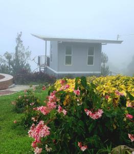 Fotografie z fotogalerie ubytování Serene Mountain Escape v destinaci Aplaya