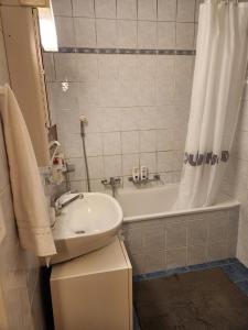 a bathroom with a sink and a tub with a shower curtain at Room in Shared Apartment Geneva in Geneva