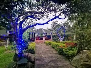 un cenador con luces azules en un jardín en Villa tata Granja autosostenible en Sasaima