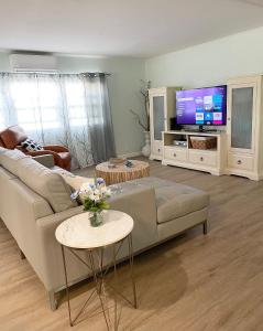 a living room with a couch and a tv at Tropical Oasis near beach in Naples