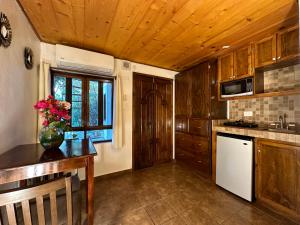 Kjøkken eller kjøkkenkrok på CABO BOHEMIA Tropical Garden Studios