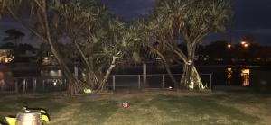 A garden outside MOOLOOLABA CANAL HOME - Modern 4Bedroom with Spa, Sauna and Private Pontoon - NEW proprietor 2024