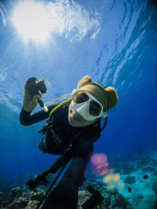 Gallery image of Slow Island Hostel in Green Island +53 photos