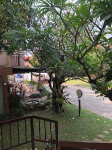 Areena Resort and Hotel Uttaradit外面的花园