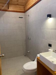 ein Bad mit einem WC und einem Waschbecken in der Unterkunft Los Lagos Lodge in San Gerardo de Dota