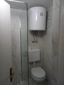 La salle de bains est pourvue de toilettes et d'une douche en verre. dans l'établissement Apartmani 'Cvit', à Karlobag