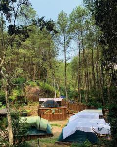 Bild i bildgalleri på Camping muara rahong hills i Palayangan