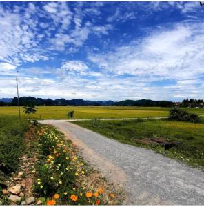 una strada sterrata con fiori sul lato di un campo di Palafita Bungalow a Phong Nha