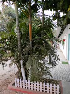 una palmera junto a una cerca blanca en Pratishruti en Guwahati
