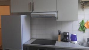 een keuken met een koelkast en een wastafel bij Appartement centre ville Poitiers in Poitiers