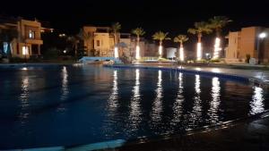 una piscina por la noche con palmeras y edificios en Studio with pool view at Bella Vista resort sokhna, en Ain Sokhna