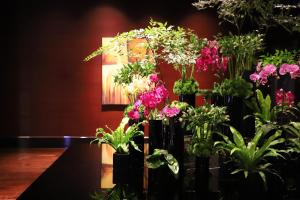 un grupo de jarrones llenos de flores en una mesa en Renaissance Beijing Capital Hotel en Beijing