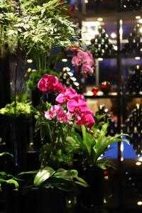 a bunch of pink flowers in a vase at Renaissance Beijing Capital Hotel in Beijing