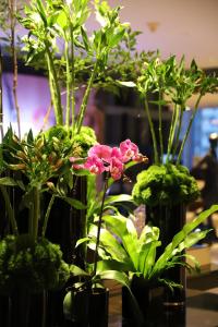 um grupo de vasos cheios de flores e plantas em Renaissance Beijing Capital Hotel em Pequim