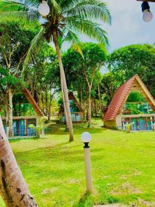 Phumĭ Kaôh Rŏng的住宿－Koh RhongSunshine Resort，草上有一棵棕榈树和一根杆的房子
