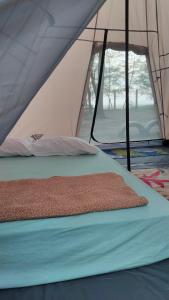 實兆的住宿－Villa Uda @ SIBLINGS Cottage，帐篷内的一张床位,设有两个窗户