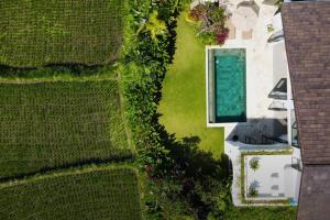 Zahrada ubytování Villa Rae - 2BDR Luxe Villa