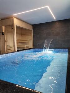 にあるRiverside house with pool jacuzzi and sauna in Croatiaのイルカが水中に飛び込むスイミングプール