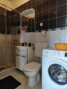a bathroom with a toilet and a washing machine at Apartments Harriet in Dubrovnik +41 photos