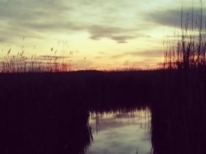 a sunset over a body of water with reeds at Pfahlbau Rust/Neusiedlersee Sunset I in Rust