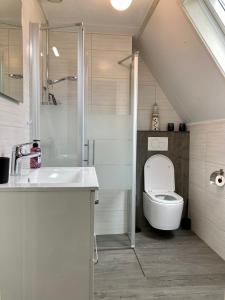 W łazience znajduje się toaleta, umywalka i prysznic. w obiekcie Urlaubsruhe 6 Pers Holiday home w terrace close to National Park Lauwersmeer w mieście Anjum